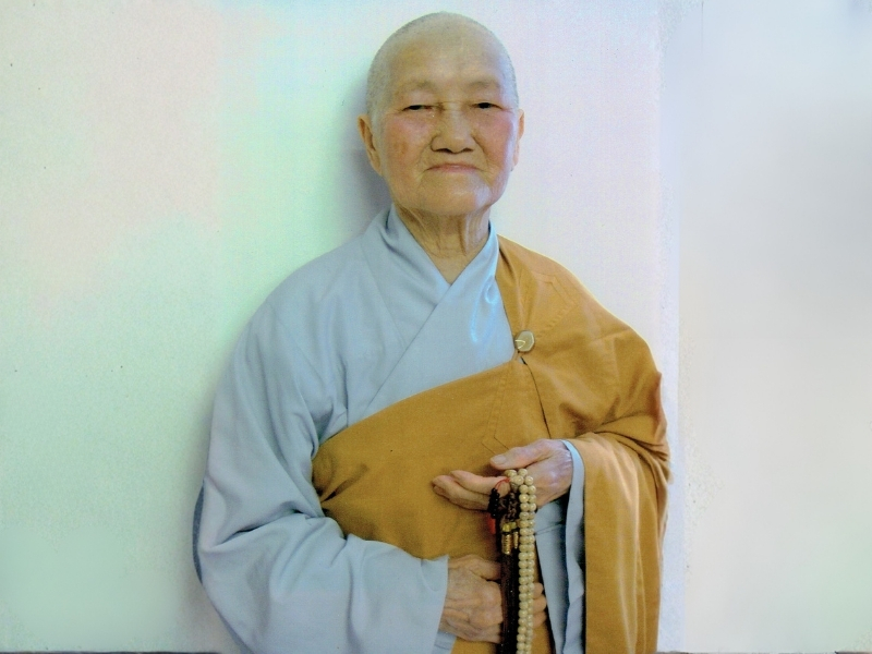 Hình ảnh Chân Dung Cố Sa-Di-Ni Pháp Danh Diệu Niệm