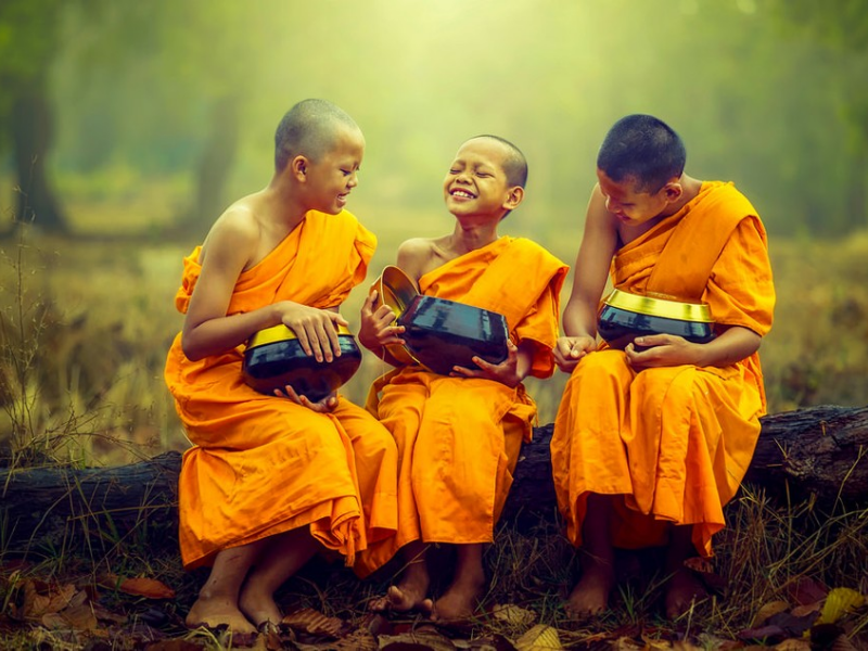 Pháp phục màu vàng nghệ trang nghiêm, thanh tịnh, chuẩn mực 