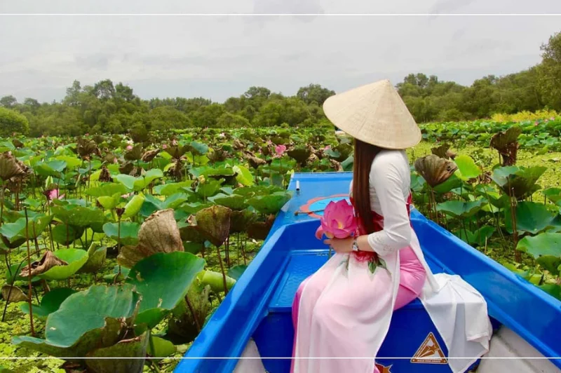 Rừng Tràm Trà Sư – Tà áo dài dịu dàng thướt tha giữa thảm bèo xanh mướt và khung cảnh thiên nhiên thanh bình