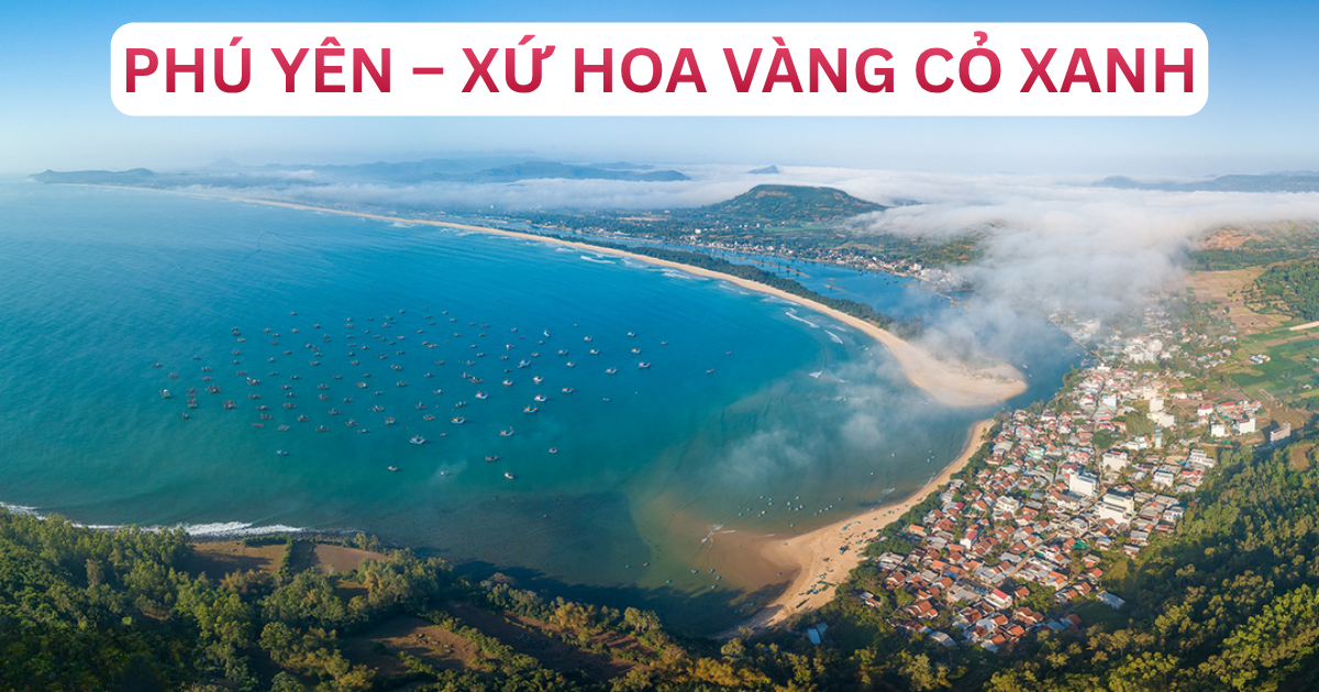 Đi Phú Yên Mặc Gì – Xứ Hoa Vàng Cỏ Xanh Bình Yên & Hoang Sơ Đầy Thơ Mộng