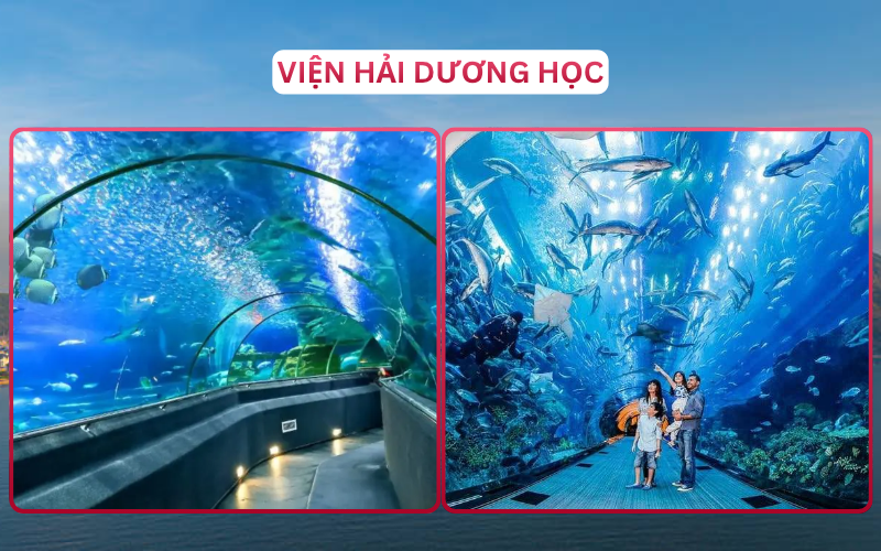 Địa Điểm Đáng Đi Top 1 Nha Trang