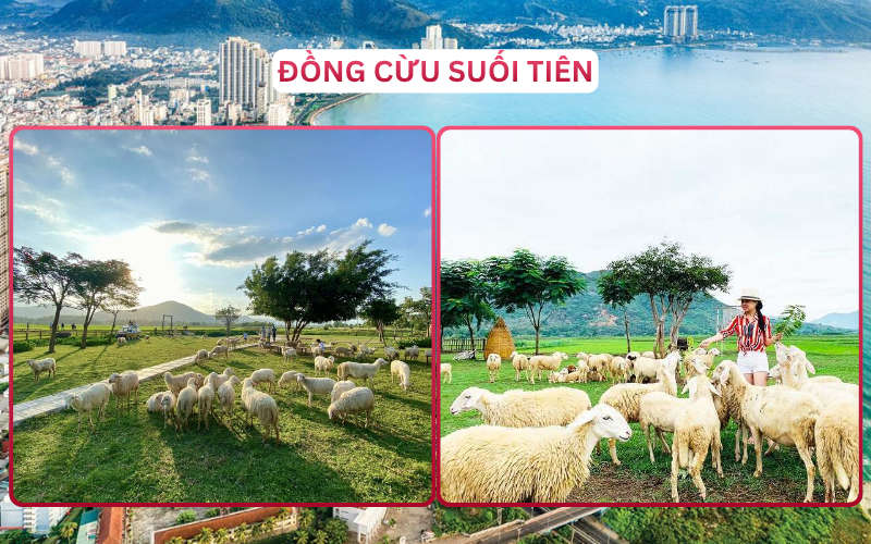 Địa Điểm Đáng Đi Top 3 Cam Ranh