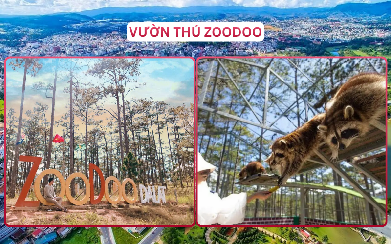 Địa Điểm Đáng Đi Top 3 Đà Lạt