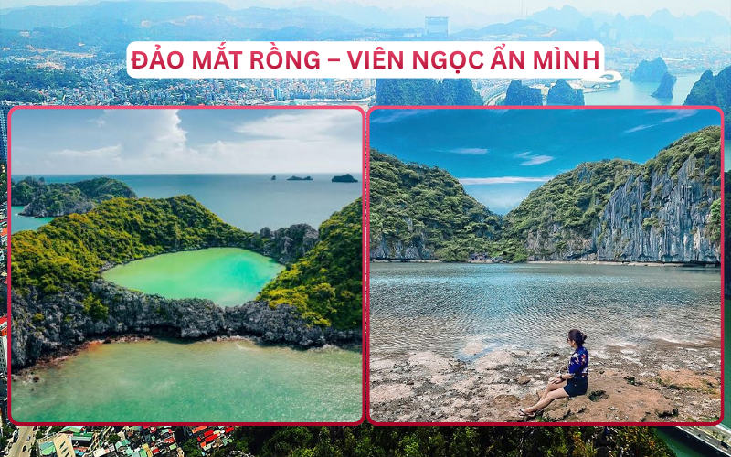 Địa Điểm Đáng Đi Top 3 Hạ Long