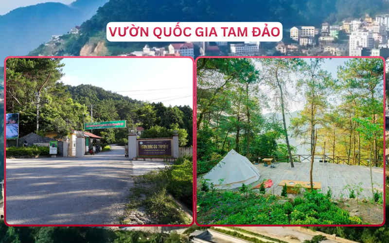 Địa Điểm Đáng Đi Top 3 Tam Đảo