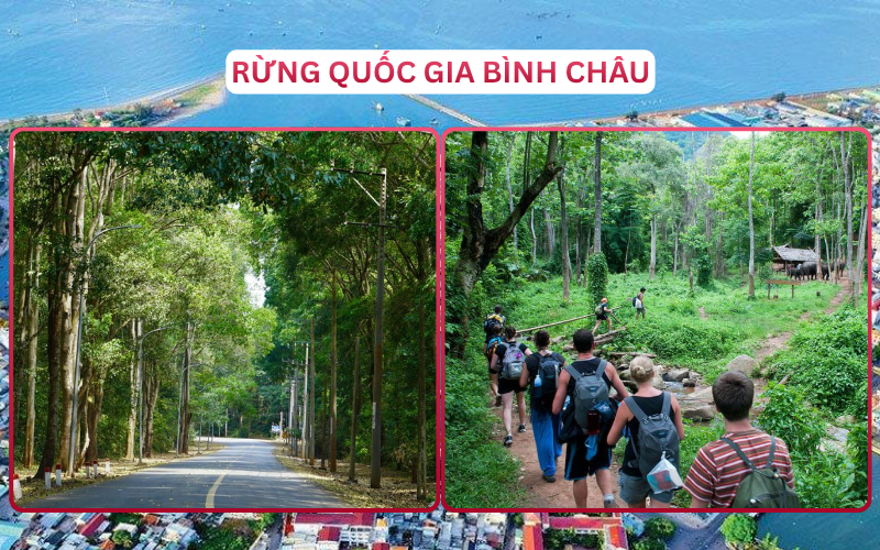 Địa Điểm Đáng Đi Top 4 Vũng Tàu