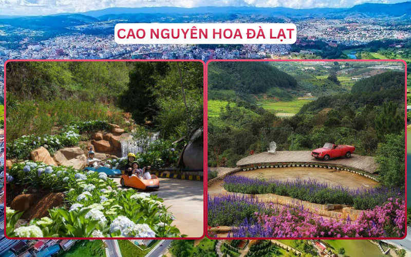 Địa Điểm Đáng Đi Top 5 Đà Lạt