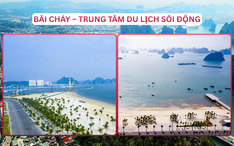 Địa Điểm Đáng Đi Top 5 Hạ Long