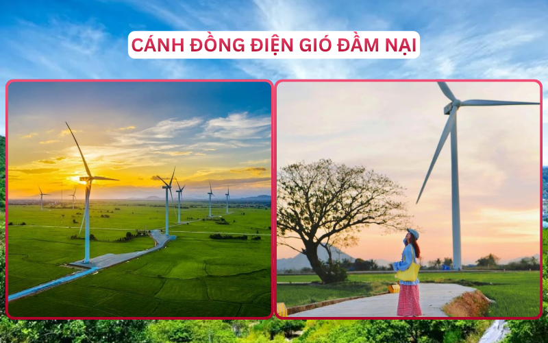 Địa Điểm Đáng Đi Top 5 Phan Rang