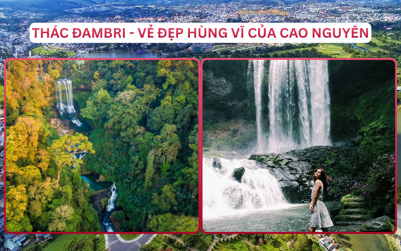 Địa Điểm Đáng Đi Top 1 Bảo Lộc