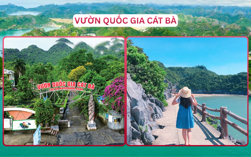 Địa Điểm Đáng Đi Top 1 Đảo Cát Bà