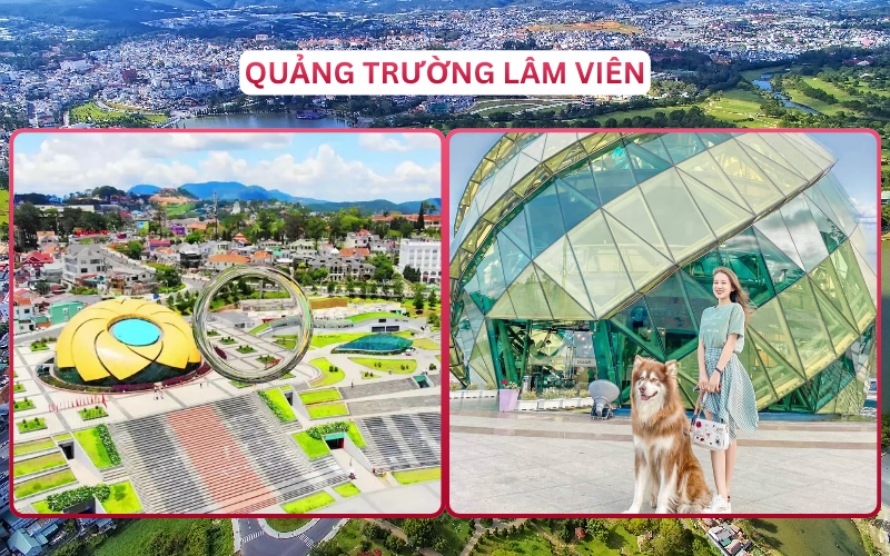 Địa Điểm Đáng Đi Top 1 Lâm Đồng