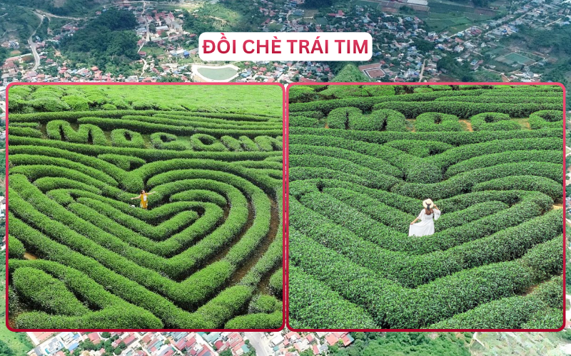 Địa Điểm Đáng Đi Top 2 Mộc Châu