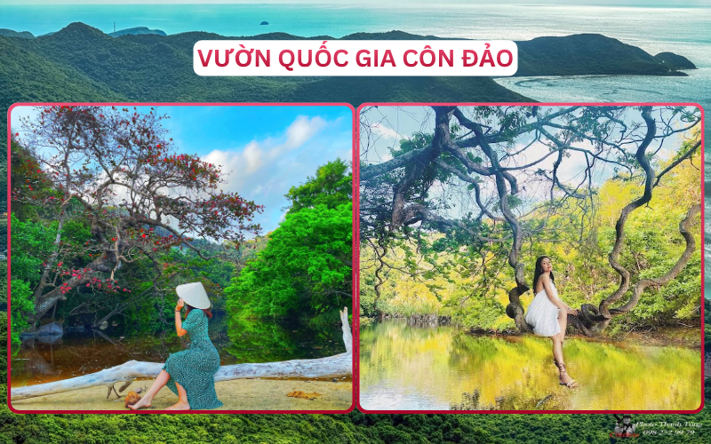 Địa Điểm Đáng Đi Top 3 Côn Đảo