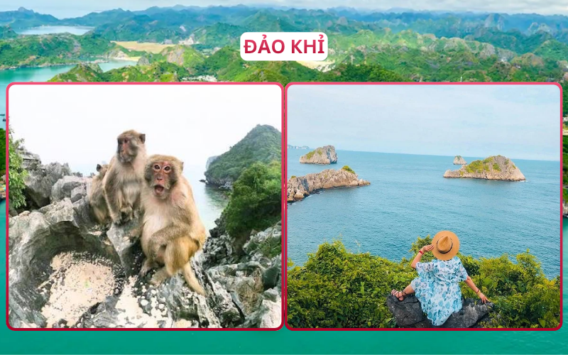 Địa Điểm Đáng Đi Top 3 Đảo Cát Bà