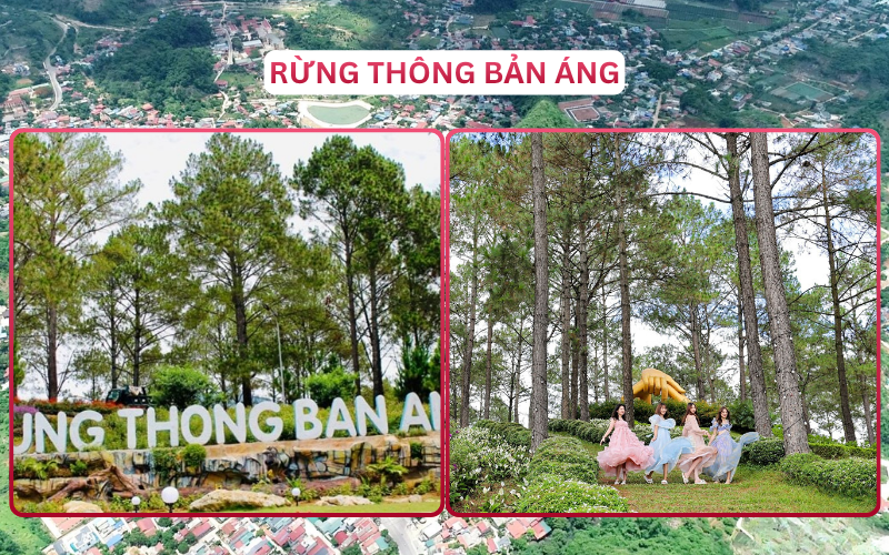 Địa Điểm Đáng Đi Top 3 Mộc Châu