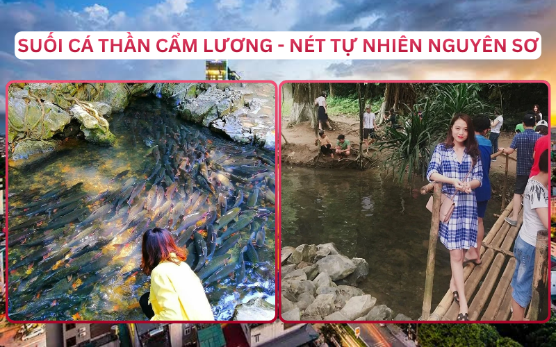 Địa Điểm Đáng Đi Top 3 Thanh Hóa