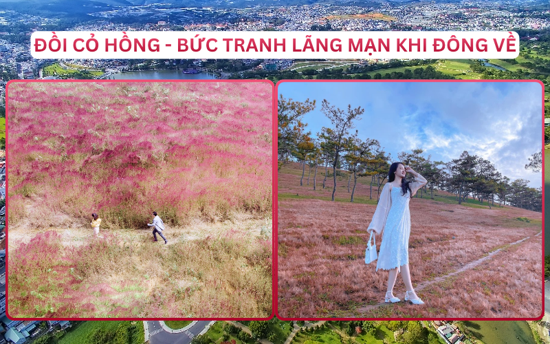 Địa Điểm Đáng Đi Top 4 Bảo Lộc