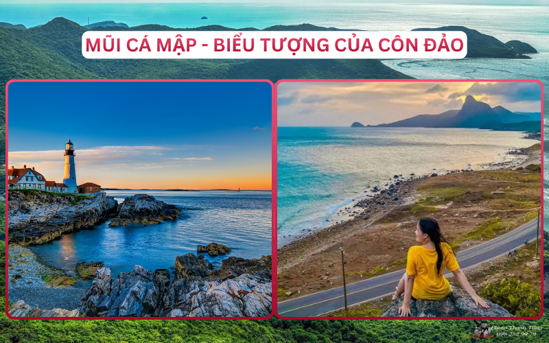 Địa Điểm Đáng Đi Top 5 Côn Đảo