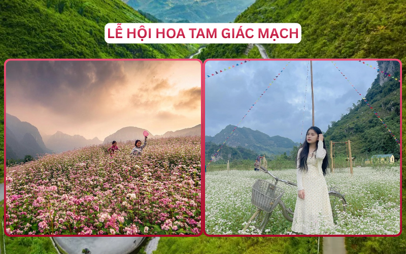 Lễ Hội Đáng Đi Top 1 Hà Giang