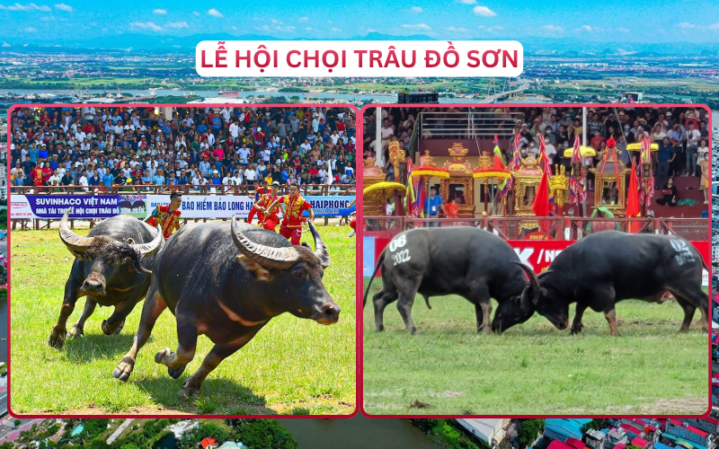 Lễ Hội Đáng Đi Top 1 Hải Phòng