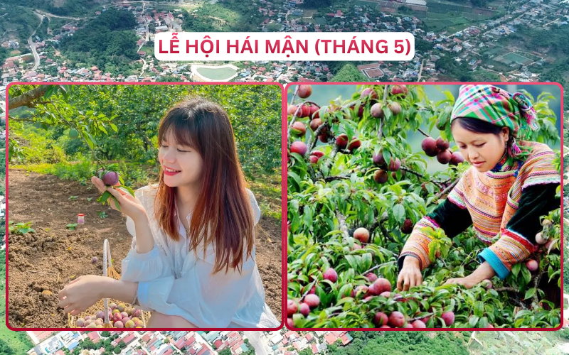 Lễ Hội Đáng Đi Top 2 Mộc Châu