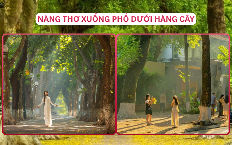 Phố thu Phan Đình Phùng là địa điểm chụp ảnh lãng mạn tuyệt đẹp. Chọn trang phục dạo phố như váy lụa dáng dài màu pastel sẽ giúp nàng hóa thân thành nàng thơ