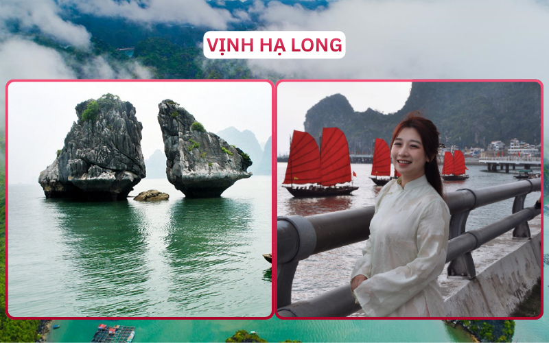 Địa Điểm Đáng Đi Top 1 Hạ Long