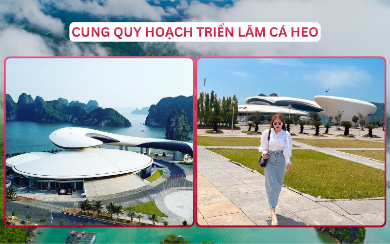 Địa Điểm Đáng Đi Top 3 Hạ Long