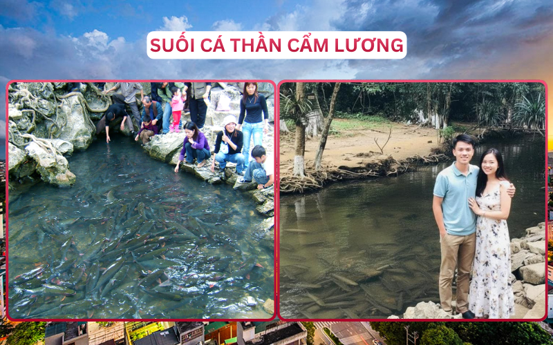 Địa Điểm Đáng Đi Top 4 Thanh Hóa