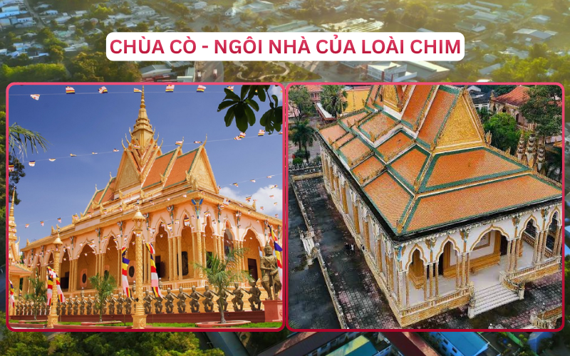 Địa Điểm Đáng Đi Top 4 Trà Vinh