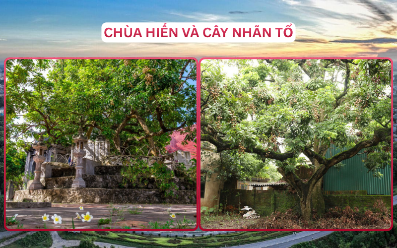 Địa Điểm Đáng Đi Top 5 Hưng Yên